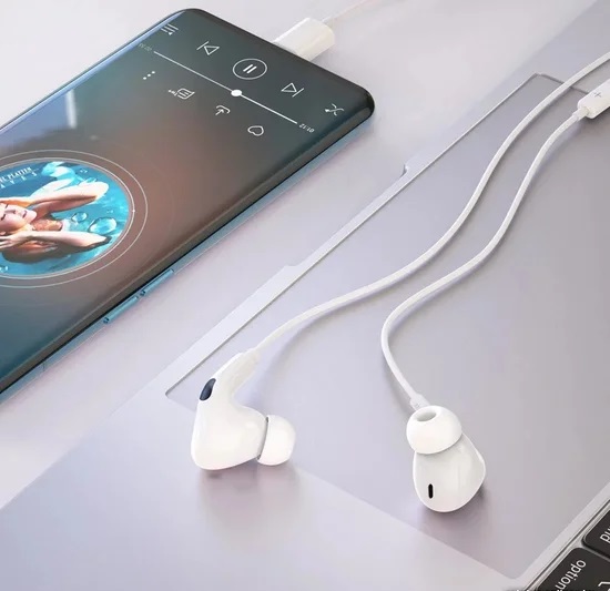 Наушники с микрофоном HOCO M101 Pro, Type-C, белый