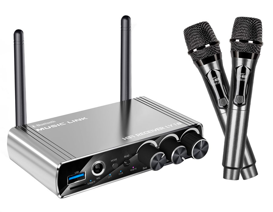 Караоке-система Аудио адаптер Hi-Fi LY18, беспроводной микрофон DM-682, комплект: 2 микрофона + приемник