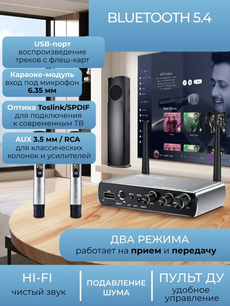 Караоке-система Аудио адаптер Hi-Fi LY18, беспроводной микрофон DM-582, комплект: 2 микрофона + приемник, цветной