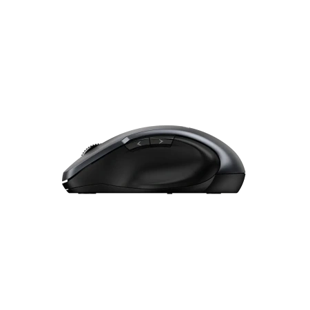 Мышь беспроводная бесшумная Genius Ergo 8200S, серый
