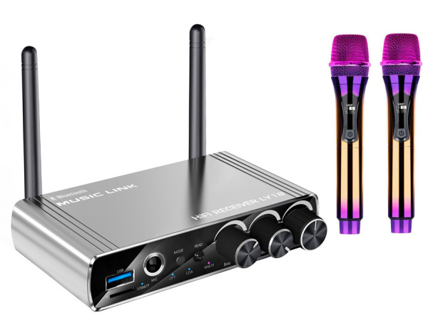 Караоке-система Аудио адаптер Hi-Fi LY18, беспроводной микрофон DM-582, комплект: 2 микрофона + приемник, цветной