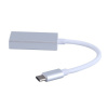 Адаптер - переходник USB3.1 Type-C - DisplayPort, серебро