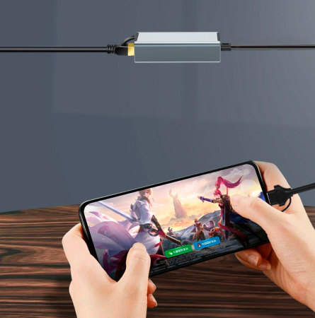 Адаптер - переходник USB Type-C / USB Type-A - RJ45 (LAN) до 1000 Мбит/с, серый