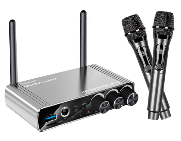 Караоке-система Аудио адаптер Hi-Fi LY18, беспроводной микрофон DM-682, комплект: 2 микрофона + приемник